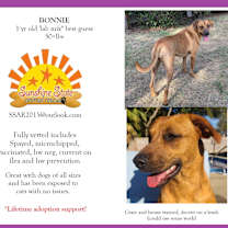 Thumbnail photo of Bonnie #3