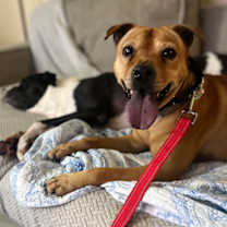 Thumbnail photo of PEPPA #3