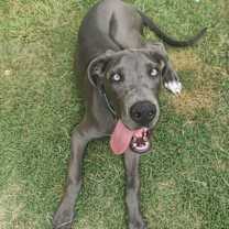 Thumbnail photo of Watson #1