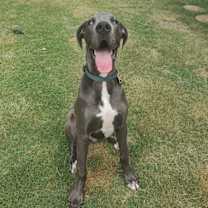 Thumbnail photo of Watson #2