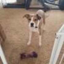 Thumbnail photo of Kirra #3