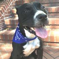 Thumbnail photo of Wally #1