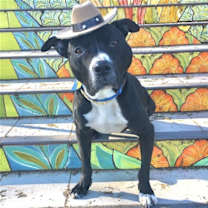 Thumbnail photo of Wally #3