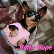 Thumbnail photo of Bella Hope Diamond #3