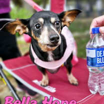 Thumbnail photo of Bella Hope Diamond #4