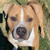 Thumbnail photo of Milton #3