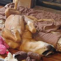 Thumbnail photo of Mocha #4