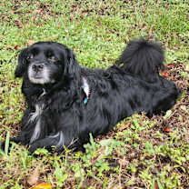 Thumbnail photo of TyTy #2