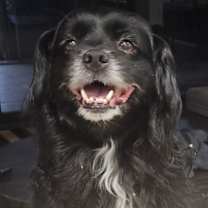 Thumbnail photo of TyTy #4