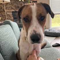 Thumbnail photo of Dottie #3