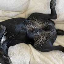Thumbnail photo of Dominic #3