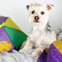 Thumbnail photo of Major Tom #1