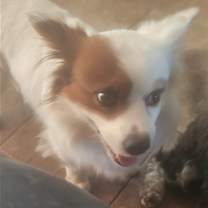 Thumbnail photo of Isaac #1