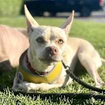 Thumbnail photo of Nyla #1