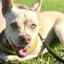 Thumbnail photo of Nyla #2