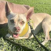 Thumbnail photo of Nyla #4