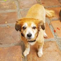 Thumbnail photo of Bella #2
