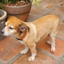 Thumbnail photo of Bella #3