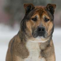 Thumbnail photo of Mackey #1