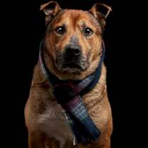 Thumbnail photo of Mackey #4