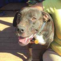 Thumbnail photo of Emmitt #2