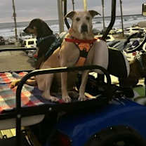 Thumbnail photo of Riley #2