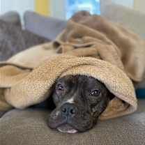 Thumbnail photo of RICARDO (COURTESY POST) #1