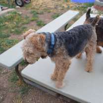 Thumbnail photo of Oddi #1