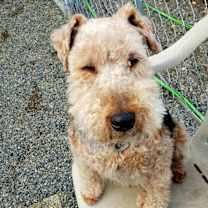 Thumbnail photo of Oddi #2