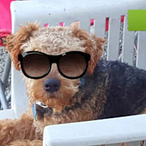 Thumbnail photo of Oddi #3