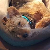 Thumbnail photo of Oddi #4