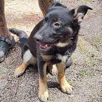 Thumbnail photo of Dakota #1