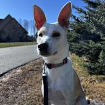 Thumbnail photo of Jolene #3