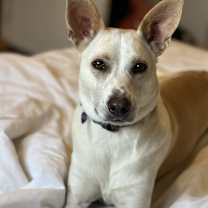 Thumbnail photo of Jolene #4