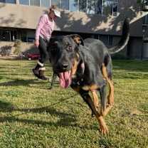 Thumbnail photo of Jake #3