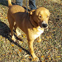 Thumbnail photo of JASPER #1