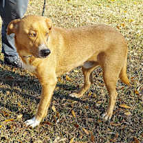 Thumbnail photo of JASPER #2