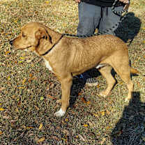 Thumbnail photo of JASPER #3