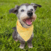 Thumbnail photo of Raji (fka Jack Johnson) #1