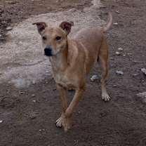 Thumbnail photo of Dory #2