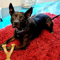Thumbnail photo of Blake #1