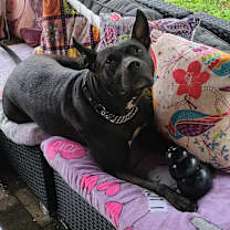 Thumbnail photo of Blake #2