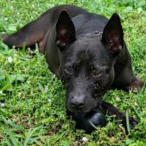 Thumbnail photo of Blake #3