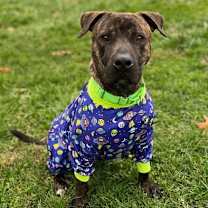 Thumbnail photo of Milkbone #2