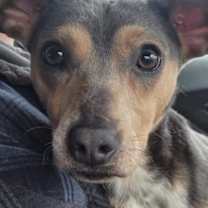 Thumbnail photo of Flint #1