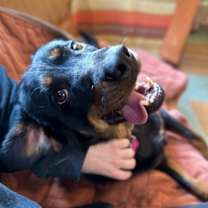 Thumbnail photo of Trooper #1