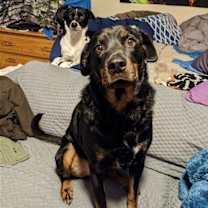 Thumbnail photo of Trooper #2