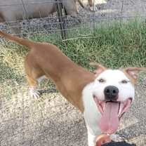 Thumbnail photo of Jamison #2