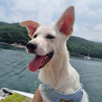 Thumbnail photo of Claude #1