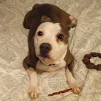 Thumbnail photo of Millie #2